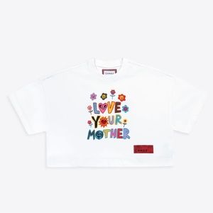 Adorable cropped embroidered boxy style tee NWT